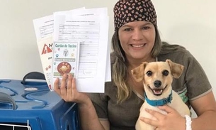 Dicas para quem tem pet e quer viajar sem complicações