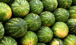 Feira de produtos regionais da Nilton Lins inaugura nesta quarta