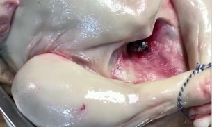 Vídeo: Internautas piram com bolo bizarro que parece um peru cru; 'nojento'