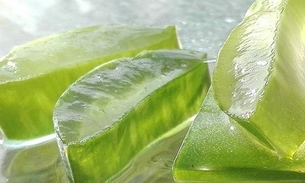 Babosa e limão podem combater espinhas no rosto