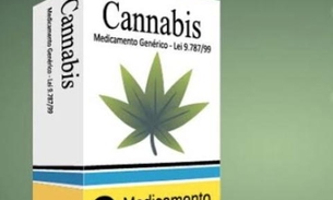 Anvisa aprova regulamentação de produtos à base de cannabis