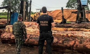 PF faz operação contra índios e madeireiros por extração ilegal