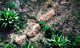 Moro envia Força Nacional a terra indígena no Amazonas