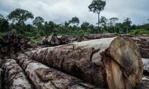 AGU cobra aplicação de R$ 169,7 milhões de multas ambientais no Amazonas