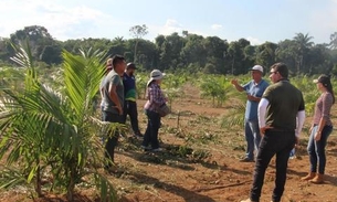  Tecnologia utilizada no cultivo do açaí garante aumento da produtividade no Amazonas 