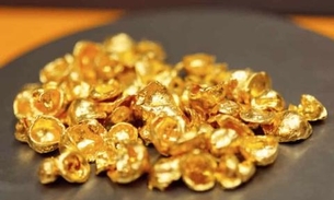 No Amazonas, PF deflagra operação contra grupo responsável por negociar ouro ilegal