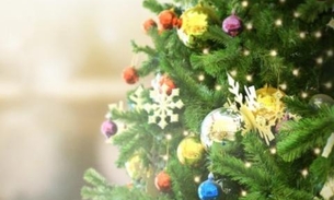 Inauguração da árvore de Natal da Ponta Negra acontece neste sábado