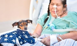 Pacientes em hospitais poderão receber visita de animal de estimação