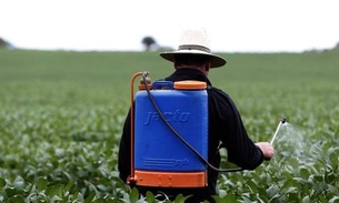 Anvisa encontra agrotóxicos acima do limite ou proibidos em 23% dos alimentos no país
