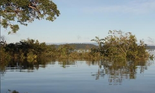 No Amazonas, homem embriagado cai em lagoa e tem rosto devorado por peixes 