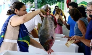 Confira os dias de funcionamento das Feiras de Produtos Regionais no mês de dezembro