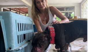 Luisa Mell resgata mais um animal de rinha de cães