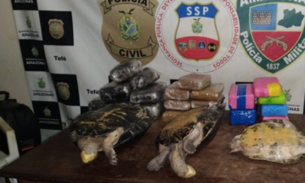 Com 26 kg de drogas e três quelônios, dupla é presa no Amazonas