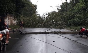 Árvore e poste caem e fecham avenida após chuva em Manaus