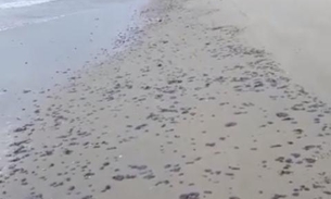 Manchas de óleo voltam a aparecer no litoral cearense após dois meses