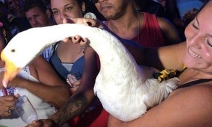 Entenda porque a cabeleireira leva ganso ‘Gianecchini' para festa de revéillon