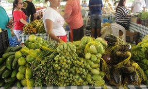 Feira de produtos regionais na Nilton Lins retorna na próxima quarta-feira