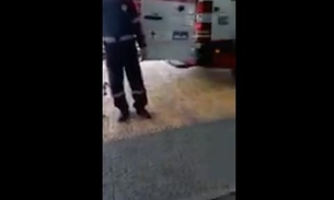 Cachorro emociona ao entrar em ambulância para acompanhar dono; Veja vídeo 