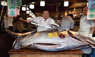 'Rei do atum' paga R$ 7,3 milhões por peixe de 276 kg 