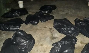 Vinte cinco cachorros são encontrados mortos em casa 