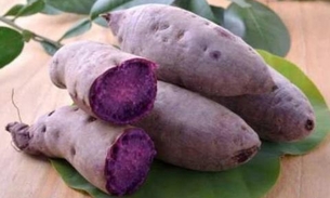 Pesquisadora da Ufam desenvolve plástico a partir da fécula do cará