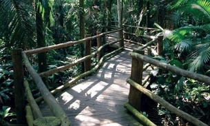 Manaus terá bosque temático e ecológico ainda este semestre
