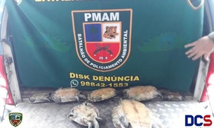 Polícia apreende sete quelônios na zona leste de Manaus