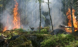Exposição à fumaça das queimadas florestais na Austrália gera medo