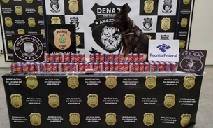 Polícia apreende 30 kg de drogas escondidas em latas de energético no Amazonas 