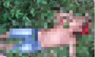 Adolescente é morto a tiros enquanto colhia frutas em granja no Amazonas