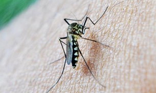MPF recomenda ações de prevenção contra surto de malária no Amazonas