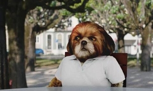 Confira a programação deste fim de semana no Cine Casarão