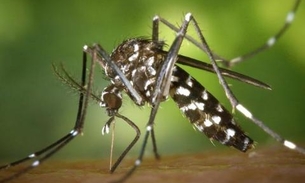 Mais de 27 mil imóveis serão inspecionas em Manaus contra infestação do Aedes aegypti