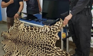 Homens são presos com pele de onça-pintada e produtos roubados no Amazonas