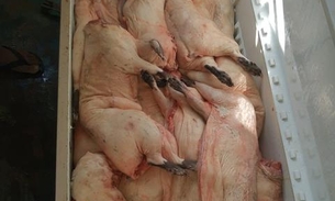 Dupla é presa com 19 peças ilegais de carne de caça em porto no Amazonas 