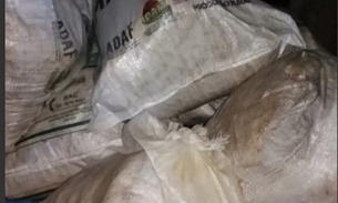 No Amazonas, polícia apreende uma tonelada de pirarucu ilegal