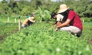 Curso ‘Caseiro Rural’ será ministrado na próxima semana, em Manaus 