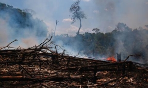 Força-tarefa Amazônia registra R$ 580 milhões em danos ambientais