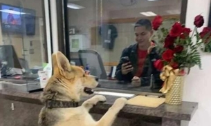 Cachorro desaparece e vai até delegacia ‘dar parte’ de sumiço; Entenda o caso