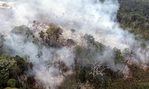 Inpe indica aumento de queimadas no Amazonas nos dois primeiros meses de 2020