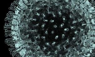 Vaticano confirma 1º caso de coronavírus