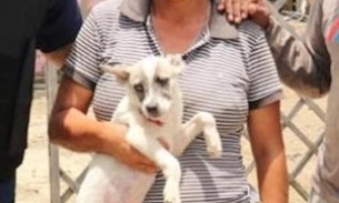 Animais resgatados do Monte Horebe precisam de lar temporário ou adoção