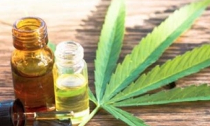 Venda autorizada de produtos derivados da cannabis entra em vigor