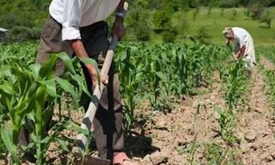 Produtor rural pede e Justiça nega benefício previdenciário do INSS