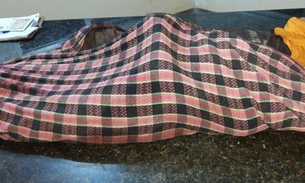 Árvore desaba e mata homem esmagado em fazenda no Amazonas