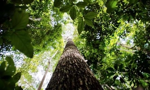 Centro de Biotecnologia quer criar novo polo industrial no Amazonas