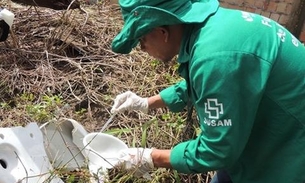 Casos de dengue triplicam no Amazonas neste ano