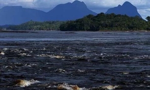 Importação de alimentos trava produção no Amazonas, diz deputado