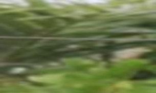 Famosos ignoram quarentena e são flagrados em praia 