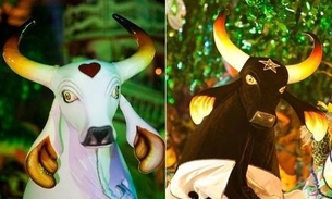 Festival Folclórico de Parintins pode ser adiado no Amazonas devido ao coronavírus